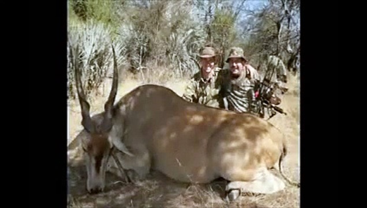 Bogenjagd in Namibia - Bowhunting in Namibia
