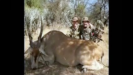 Bogenjagd in Namibia - Bowhunting in Namibia