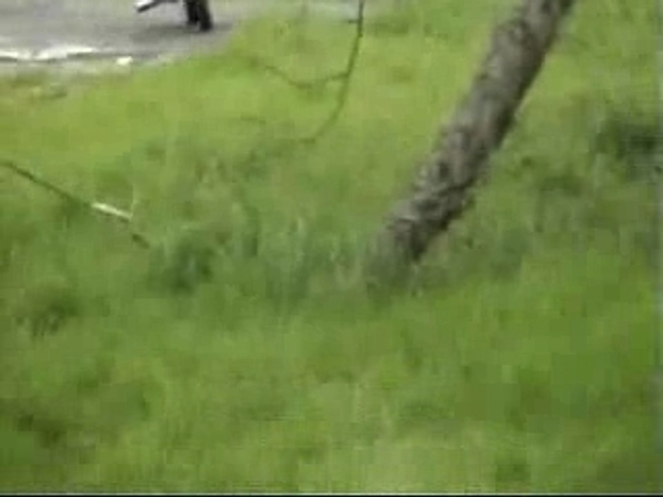 BEST OF GAMMELLES POCKET