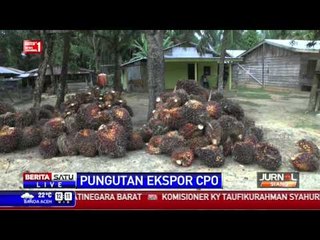 BLU Memulai Pungutan Ekspor CPO Juli 2015