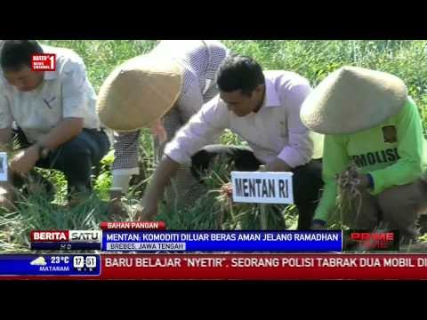 Mentan Jamin Stok Kebutuhan Pokok Aman Selama Ramadan