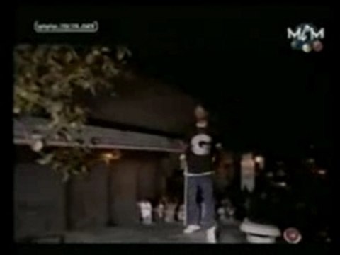 Raekwon feat. Wu-Tang Clan - Ice Cream