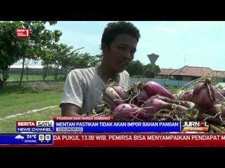 Mentan Pastikan Tak Akan Impor Bahan Pangan