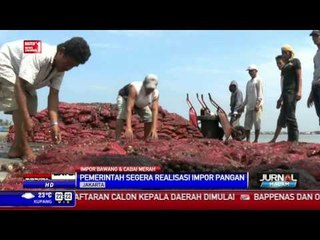 Pemerintah Segera Realisasikan Impor Pangan