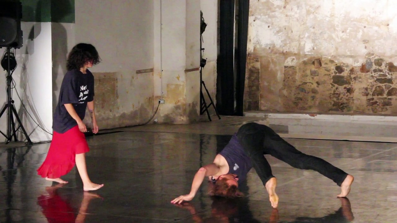 Laura Vilar Dolç i Ona Mestre 2015 - Duos en procés, Grup de Treball