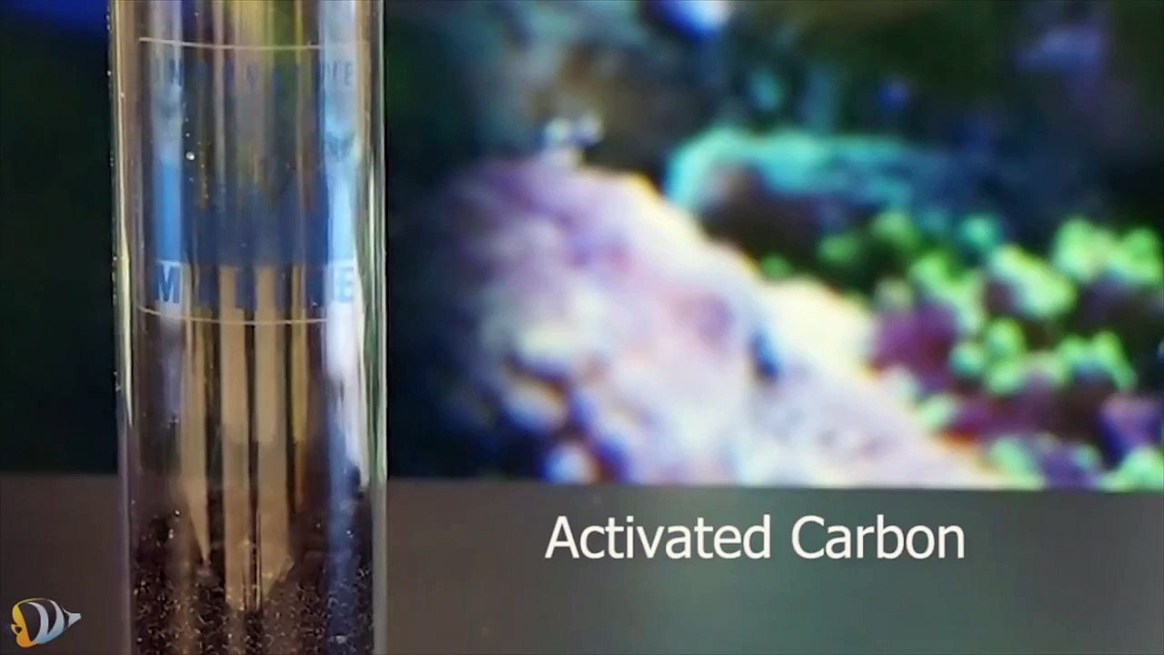 Innovative Marine MiniMax All-In-One Media Reactor Product Demo