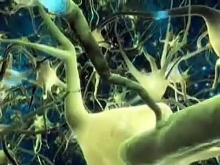 What The Bleep Do We Know--Addiction Clip