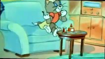 Tom and Jerry THE Zoot Cat