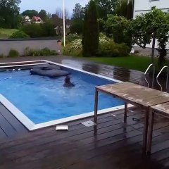 Plongeoir maison Fail