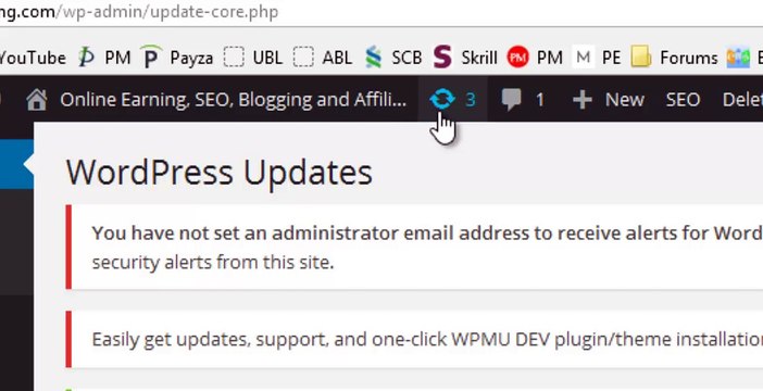 Why and How to update WordPress Plugins