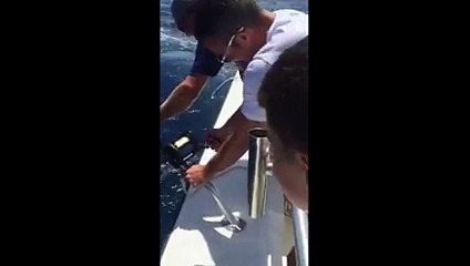 Robin Van Persie retrouve un requin au bout de sa canne à pêche