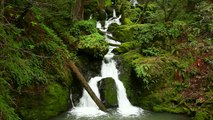 Cataract Falls California (waterfalls)