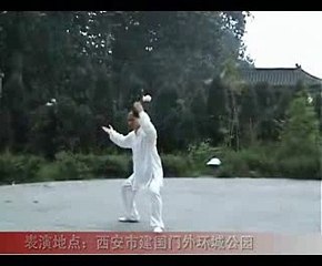 Wudang Zhaobao Taichi