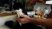 Fergus the Tuxedo Cat Gets a Bath, and he has mixed emotions about it, too cute :-)