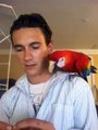 Q&A | Macaws |  Feather Plucking For Beginners