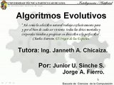Algoritmos Evolutivos