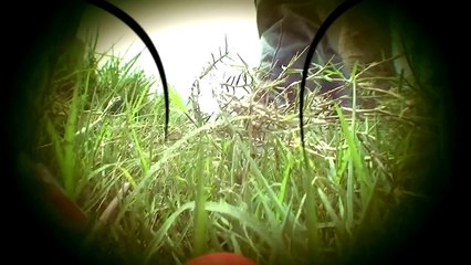 Oggy and the Cockroaches - Tune-in Promo (Weekdays 5pm)