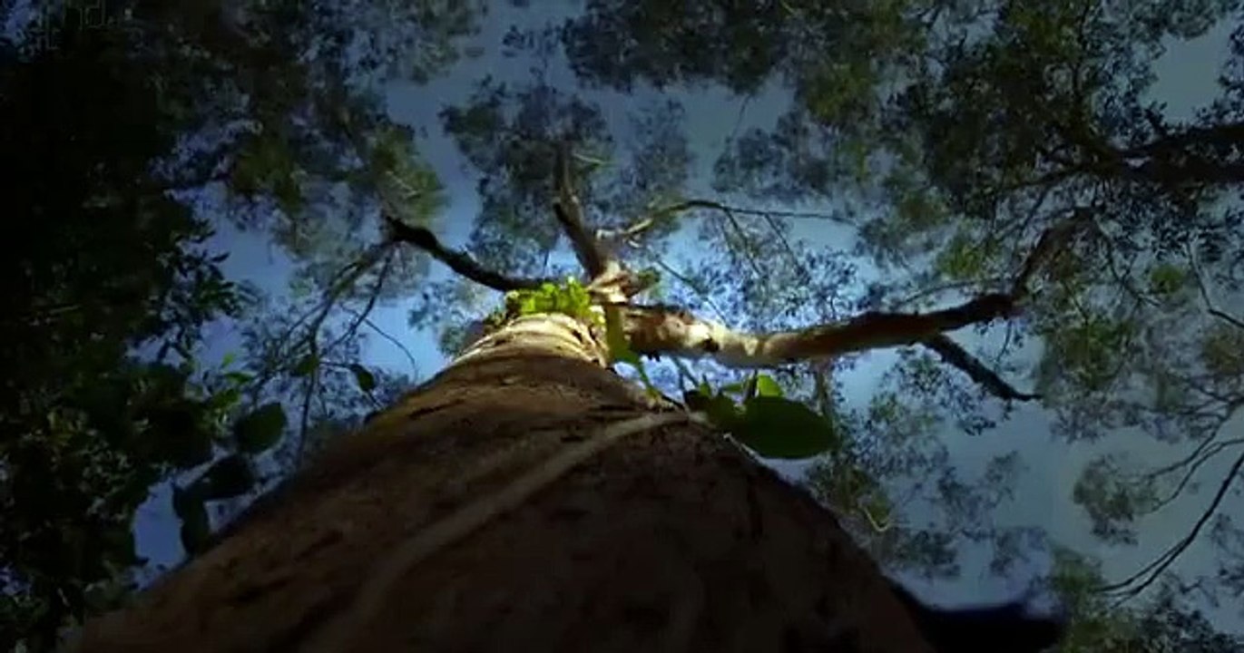 Born In The Wild S01E02