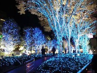 Frank Sinatra / The Christmas Song