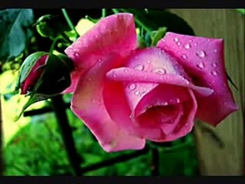 ''ENAMORADO DE TI'' POEMA DE AMOR MUSICALIZADO, CANCION DE AMOR PARA DEDICAR, POESIA ROMANTICA.