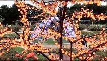 Christmas Lights Spectacular -  Hunter Valley Gardens