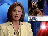 Dog Nappers Target Pit Bulls