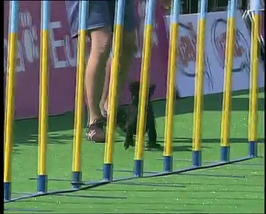 Yvonne Gercken y Pipa UAU! Torneo de Verano Agility CUATRO 2007