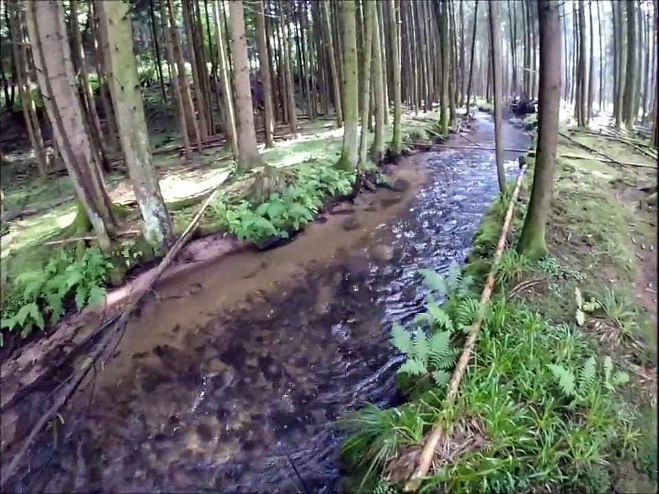 Pêche truites fario au leurre dans une petite rivière pêche à la cuillère vues subaquatiques