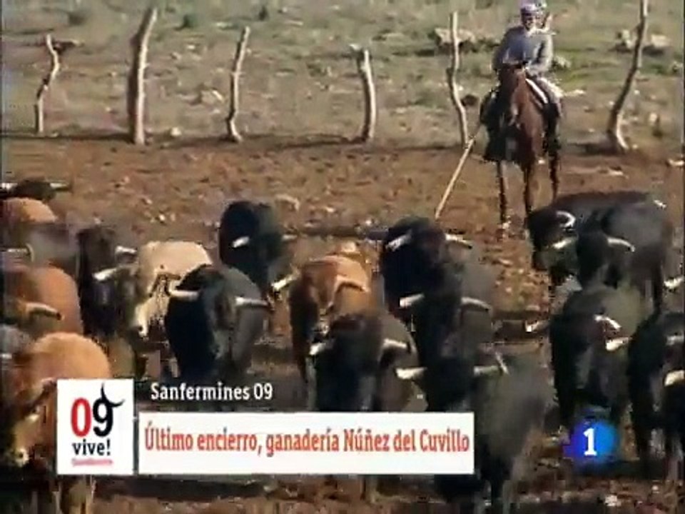 toros ganaderias