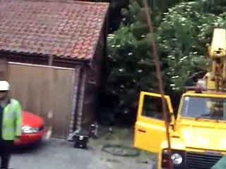 Power cable drum and bay cob gelding