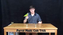 Kili Senegal Parrot - Magic Coin Trick By Parrot
