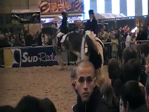 Cillbarra Curran Salon du cheval Mons 2010_e.MOD