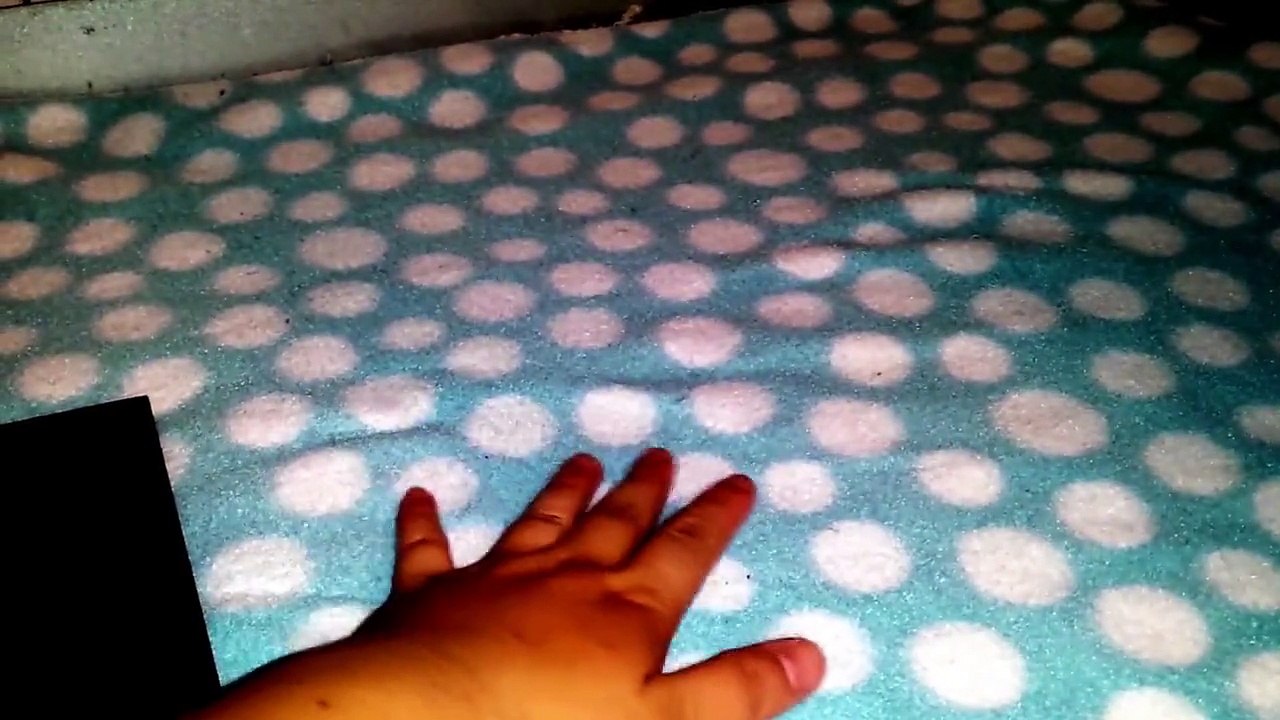 How I set up my cage- Update/Request FourPawsVlogz
