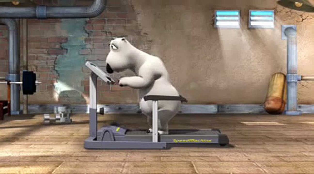Bear on treadmill