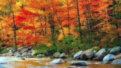 Magical Mantovani Moments!         [HD]