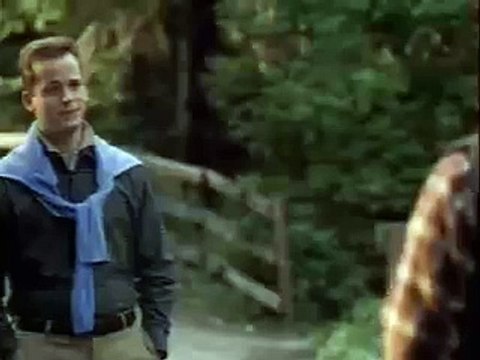 Budweiser bud beer funny advert/commercial