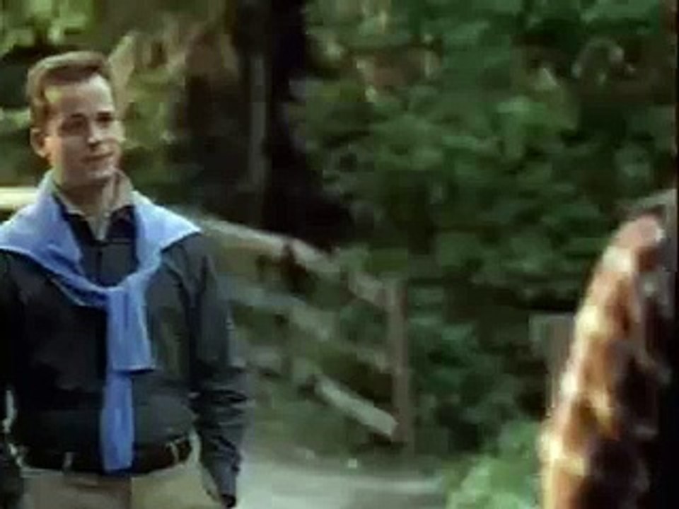 Budweiser bud beer funny advert/commercial