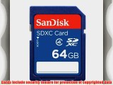 SanDisk 64GB Class 4 SDXC Flash Memory Card Frustration-Free Packaging- SDSDB-064G-AFFP (Label
