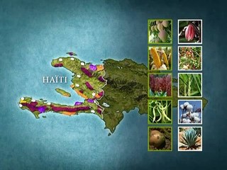 Download Video: Mit offenen Karten - Haiti 2 - Warten auf Hoffnung - April 2006