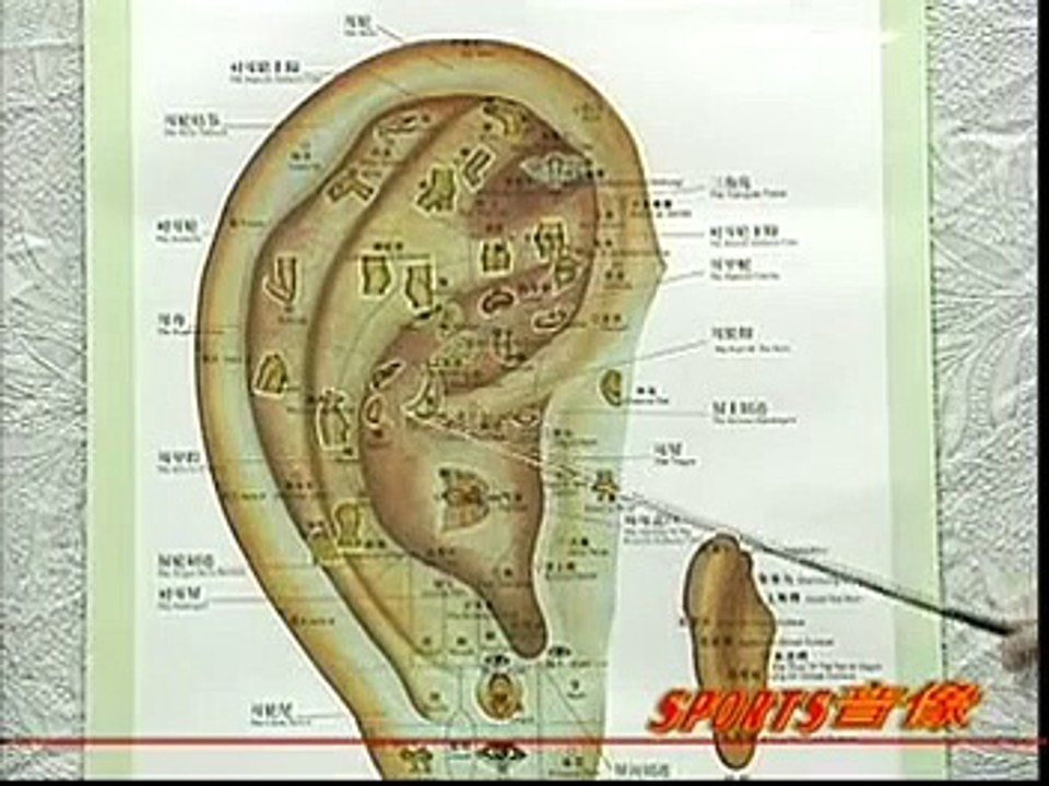 DIY 健康保健耳穴按摩 (8) 治疗感冒