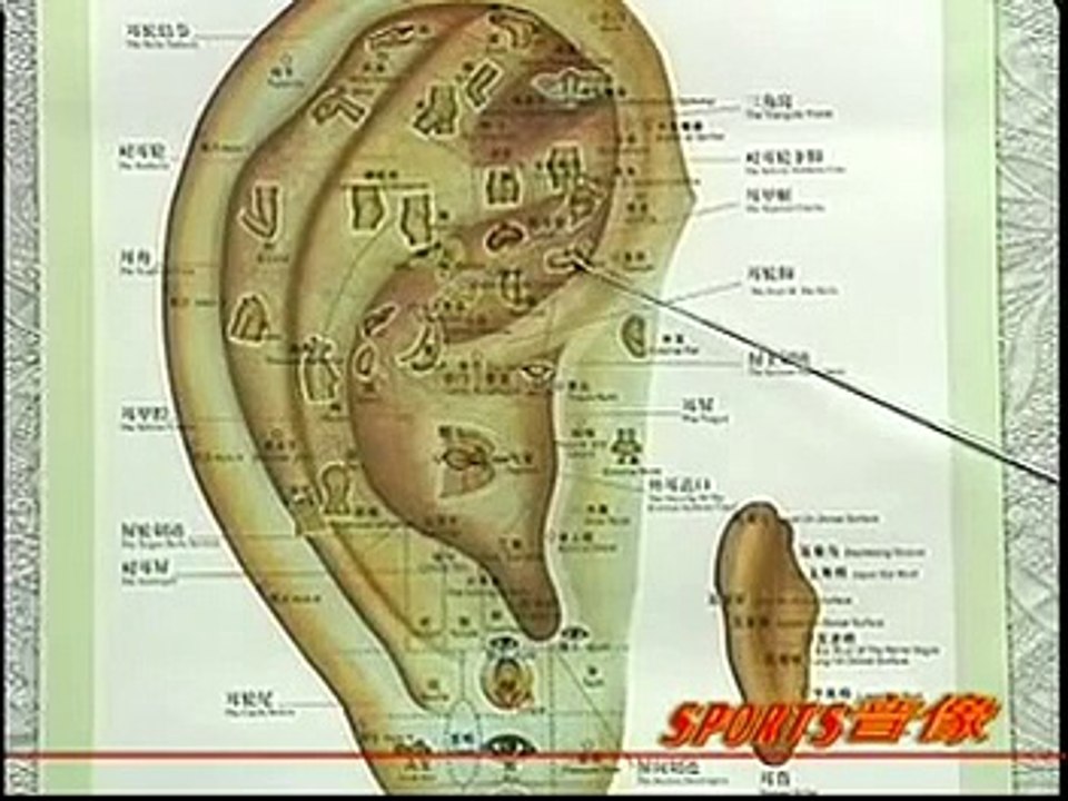 DIY 健康保健耳穴按摩 (9) 治疗咳嗽