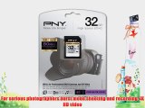 PNY Pro-Elite Plus 32 GB High Speed SDHC CL10 UHS-1 Rated Flash Memory (P-SDH32U2-30-GE)