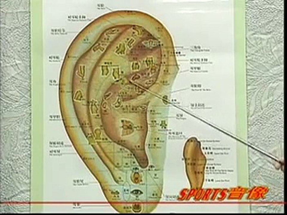 DIY 健康保健耳穴按摩 (17) 治疗耳鸣耳聋