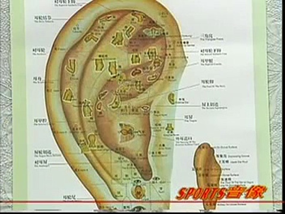 DIY 健康保健耳穴按摩 (19) 治疗阳痿