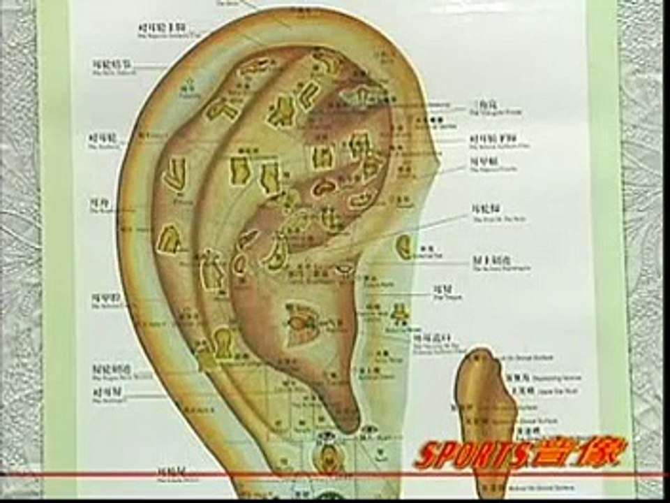 DIY 健康保健耳穴按摩 (22) 治疗月经失调