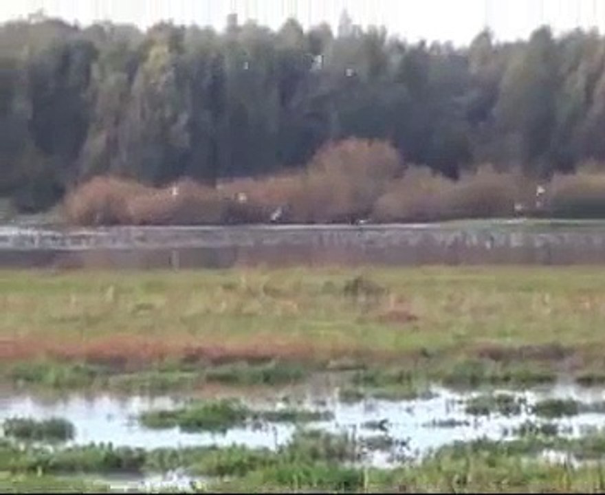 Park Narodowy ,,Ujscie Warty " 14-15.10.2011