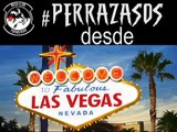 Saludo a los #Perrazasos desde LasVegas