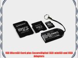 Kingston Mobility Kit with 2 GB microSD Card Reader and 3 Adapters (MBLY/2GBKR)
