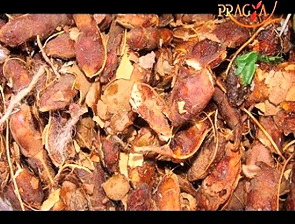 Health Alert! Benefits of (Tamarind) Imli Dr. Ritu Sethi (Ayurveda