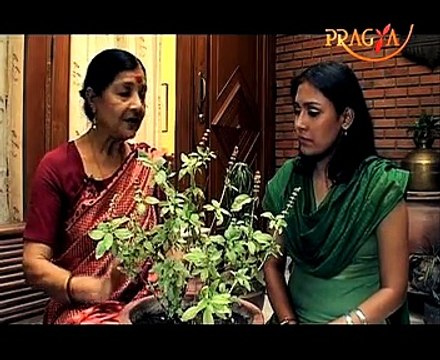 Health Alert! Health Benefits of Herbs By Seema Sood, Watch Video!